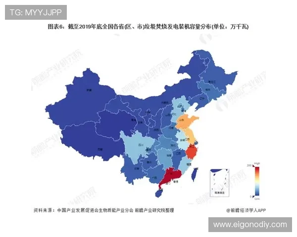多宝视讯公司成立于哪个时间点，发展历程及其在行业中的地位